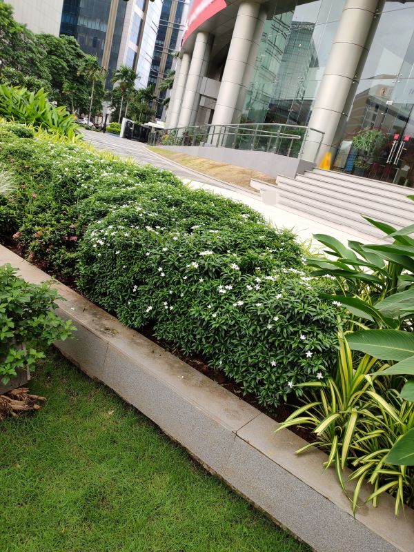 Concrete Landscape Edging Costs — Cost of Concrete Landscape Edging