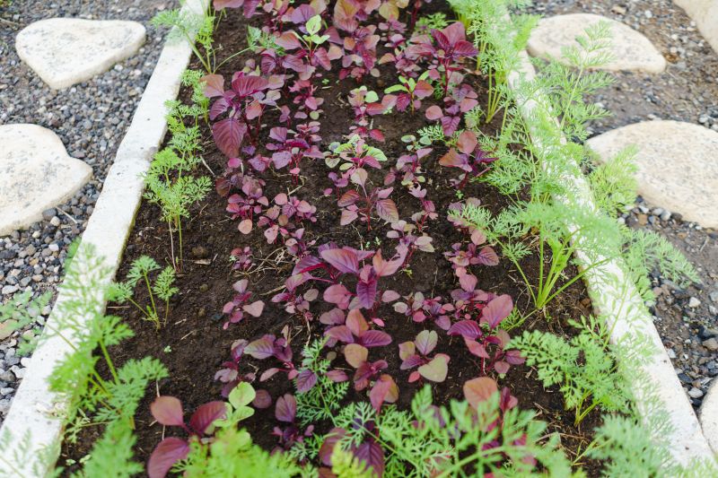 Concrete Landscape Edging Costs — Cost of Concrete Landscape Edging